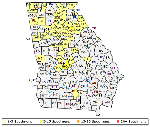 The Georgia range of Rhus glabra